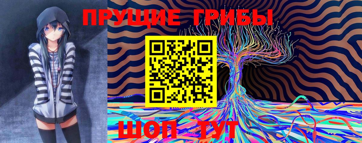 Галлюциногенные грибы Magic Shrooms Красноярск